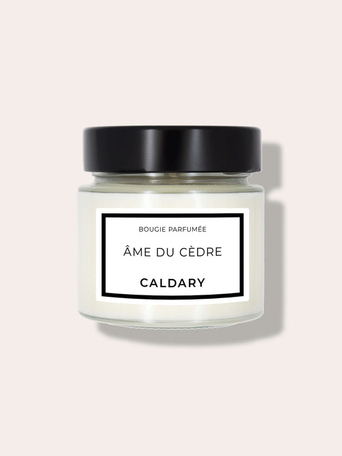 Bougie parfumée - Âme du cèdre